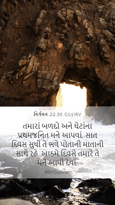 નિર્ગમન 22:30 GUJIRV Bible Verse Image