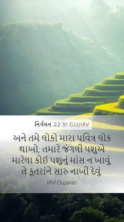 નિર્ગમન 22:31 GUJIRV Bible Verse Image