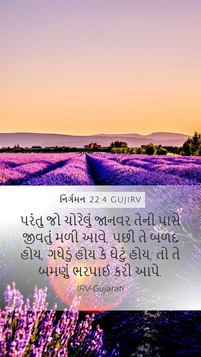 નિર્ગમન 22:4 GUJIRV Bible Verse Image