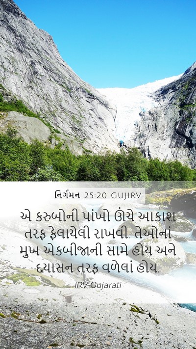 નિર્ગમન 25:20 GUJIRV Bible Verse Image