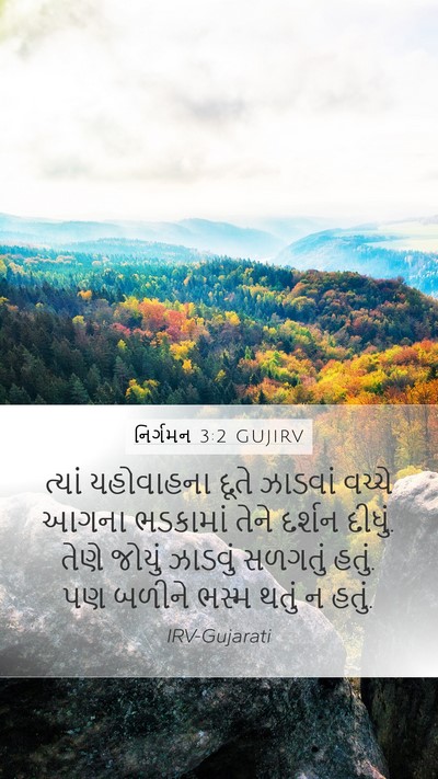 નિર્ગમન 3:2 GUJIRV Bible Verse Image