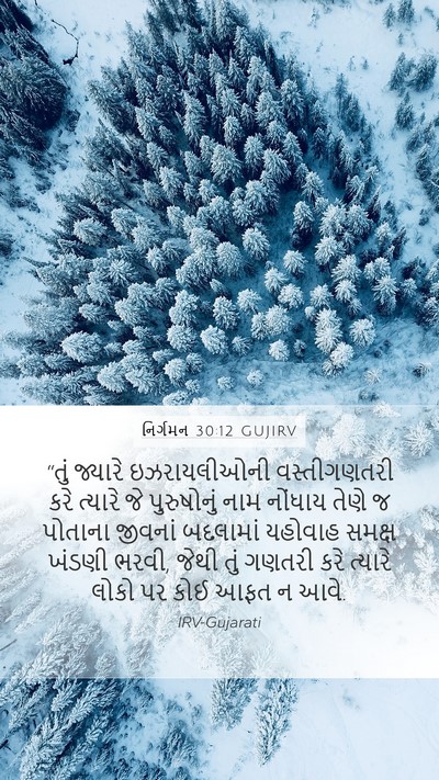 નિર્ગમન 30:12 GUJIRV Bible Verse Image