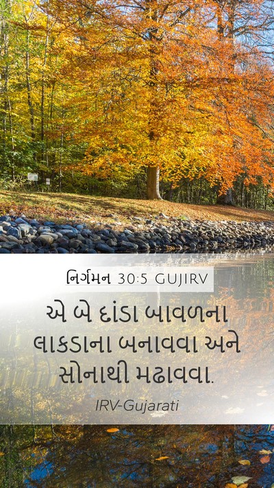 નિર્ગમન 30:5 GUJIRV Mobile Phone Wallpaper - એ બે દાંડા બાવળના - Mobile Bible Verse Wallpaper