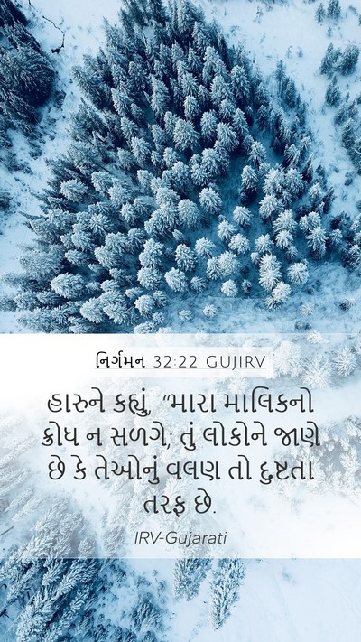 નિર્ગમન 32:22 GUJIRV Bible Verse Image