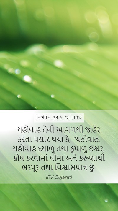 નિર્ગમન 34:6 GUJIRV Bible Verse Image