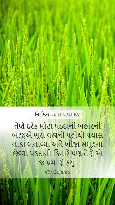 નિર્ગમન 36:11 GUJIRV Bible Verse Image