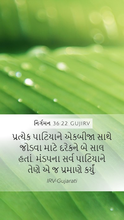 નિર્ગમન 36:22 GUJIRV Mobile Phone Wallpaper - પ્રત્યેક પાટિયાને - Mobile Bible Verse Wallpaper