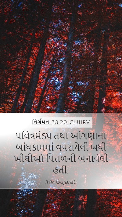 નિર્ગમન 38:20 GUJIRV Mobile Phone Wallpaper - પવિત્રમંડપ તથા - Mobile Bible Verse Wallpaper