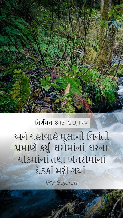 નિર્ગમન 8:13 GUJIRV Mobile Phone Wallpaper - અને યહોવાહે - Mobile Bible Verse Wallpaper