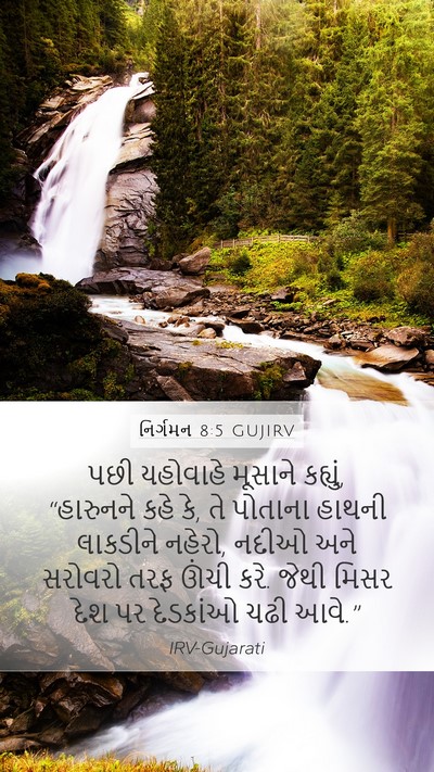 નિર્ગમન 8:5 GUJIRV Bible Verse Image