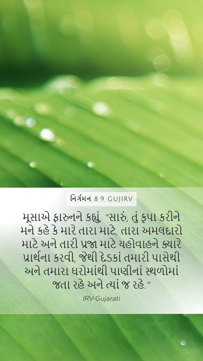 નિર્ગમન 8:9 GUJIRV Mobile Phone Wallpaper - મૂસાએ ફારુનને - Mobile Bible Verse Wallpaper