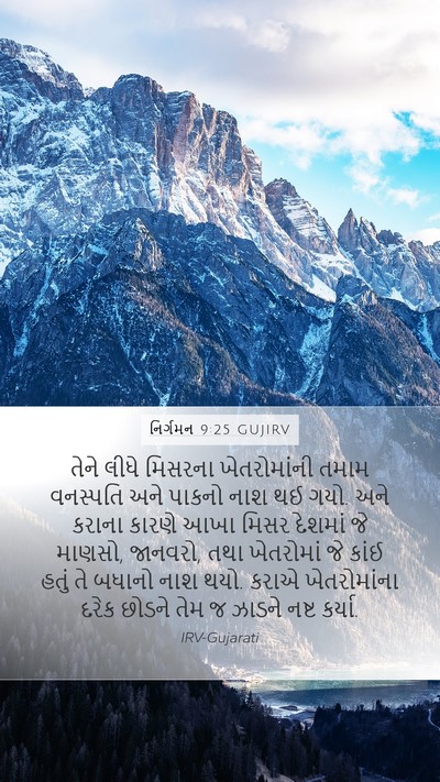નિર્ગમન 9:25 GUJIRV Bible Verse Image
