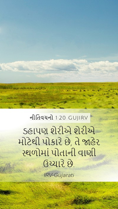 નીતિવચનો 1:20 GUJIRV Bible Verse Image