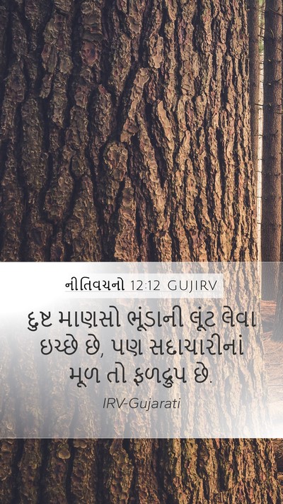 નીતિવચનો 12:12 GUJIRV Bible Verse Image