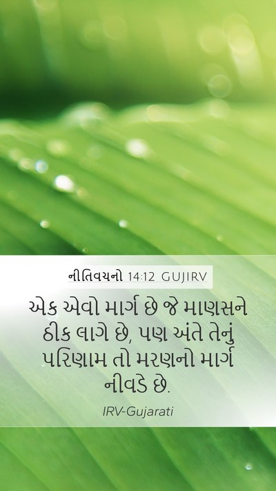 નીતિવચનો 14:12 GUJIRV Bible Verse Image
