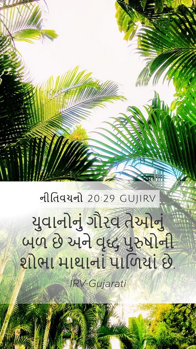 નીતિવચનો 20:29 GUJIRV Bible Verse Image