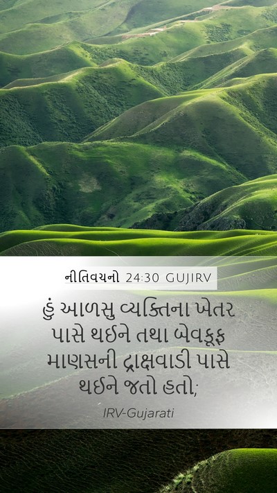 નીતિવચનો 24:30 GUJIRV Bible Verse Image