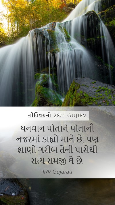 નીતિવચનો 28:11 GUJIRV Bible Verse Image