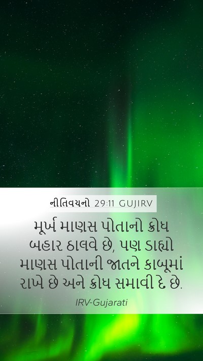 નીતિવચનો 29:11 GUJIRV Bible Verse Image