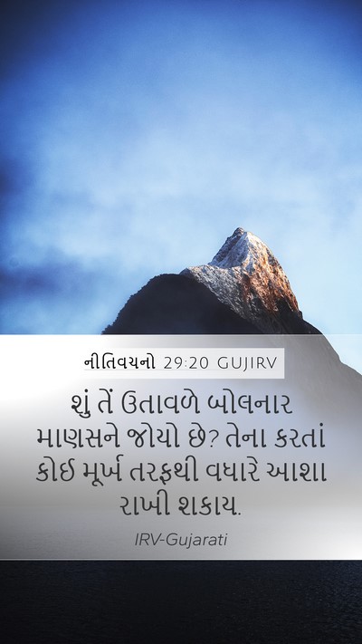 નીતિવચનો 29:20 GUJIRV Bible Verse Image
