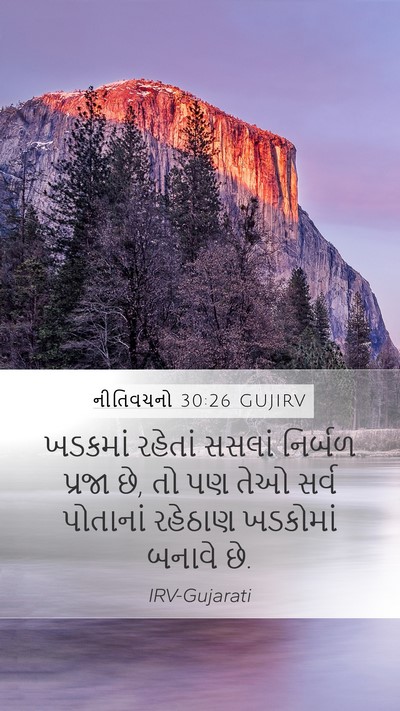 નીતિવચનો 30:26 GUJIRV Bible Verse Image