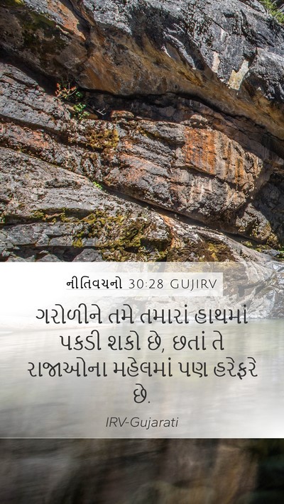 નીતિવચનો 30:28 GUJIRV Mobile Phone Wallpaper - ગરોળીને તમે - Mobile Bible Verse Wallpaper