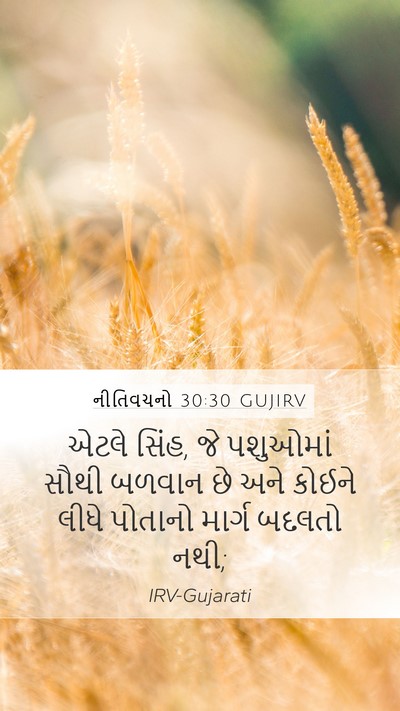 નીતિવચનો 30:30 GUJIRV Bible Verse Image