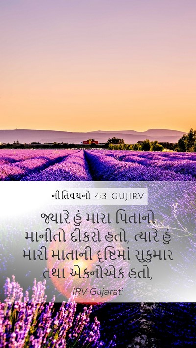 નીતિવચનો 4:3 GUJIRV Bible Verse Image