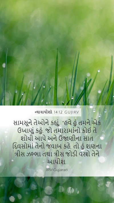 ન્યાયાધીશો 14:12 GUJIRV Bible Verse Image
