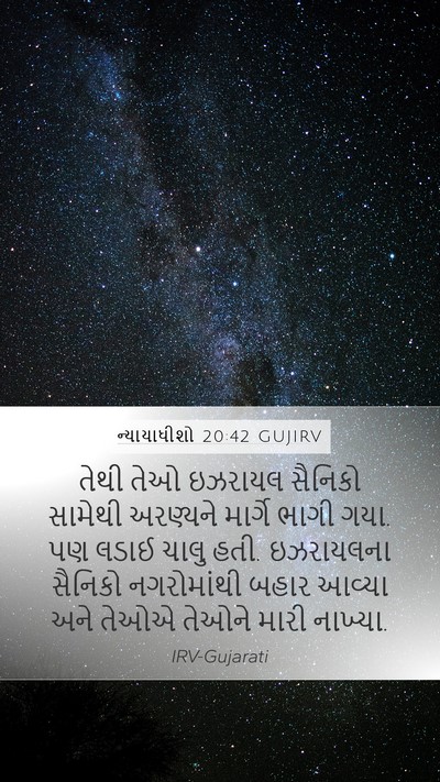 ન્યાયાધીશો 20:42 GUJIRV Bible Verse Image