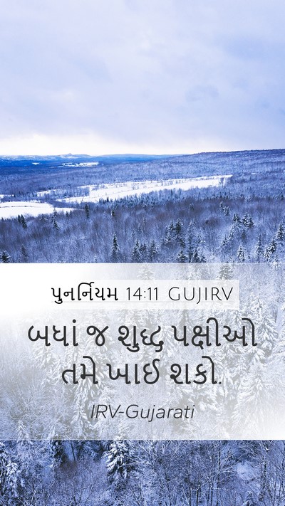 પુનર્નિયમ 14:11 GUJIRV Mobile Phone Wallpaper - બધાં જ શુદ્ધ - Mobile Bible Verse Wallpaper