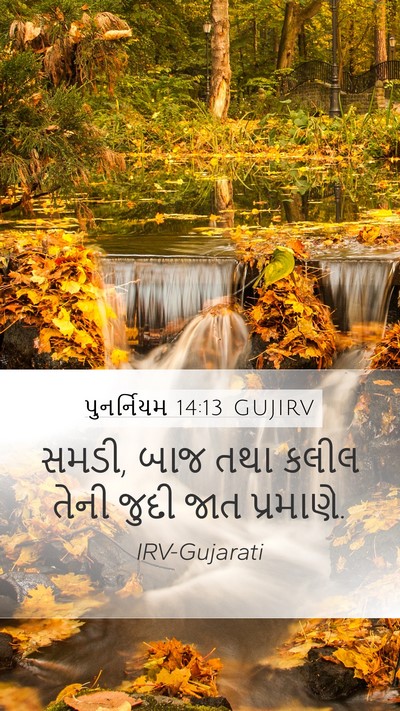પુનર્નિયમ 14:13 GUJIRV Mobile Phone Wallpaper - સમડી, બાજ તથા કલીલ - Mobile Bible Verse Wallpaper