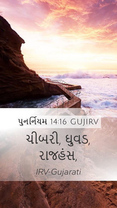 પુનર્નિયમ 14:16 GUJIRV Mobile Phone Wallpaper - ચીબરી, ઘુવડ, - Mobile Bible Verse Wallpaper