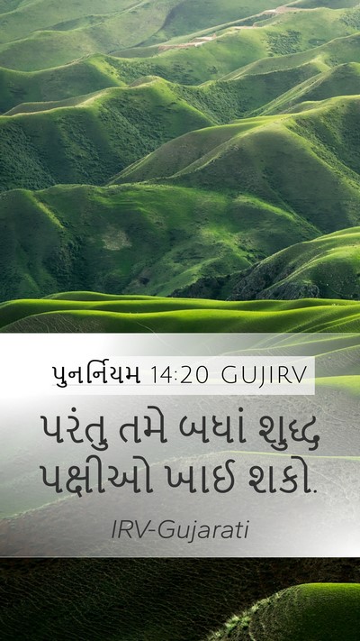 પુનર્નિયમ 14:20 GUJIRV Mobile Phone Wallpaper - પરંતુ તમે બધાં - Mobile Bible Verse Wallpaper