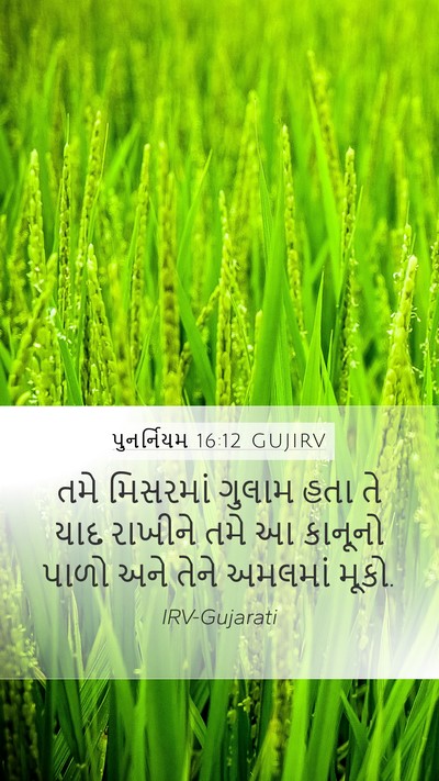 પુનર્નિયમ 16:12 GUJIRV Bible Verse Image