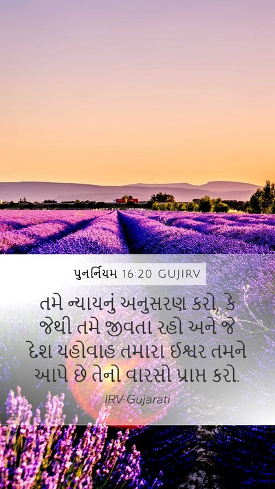 પુનર્નિયમ 16:20 GUJIRV Mobile Phone Wallpaper - તમે ન્યાયનું - Mobile Bible Verse Wallpaper