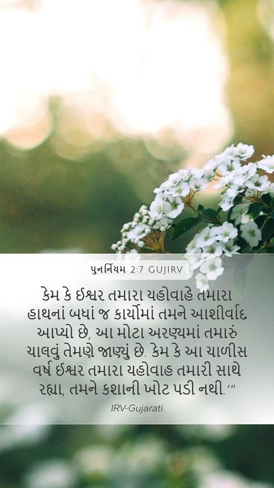 પુનર્નિયમ 2:7 GUJIRV Bible Verse Image