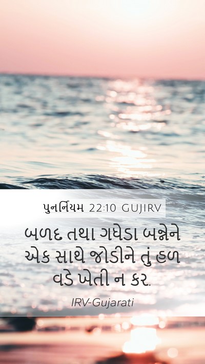 પુનર્નિયમ 22:10 GUJIRV Mobile Phone Wallpaper - બળદ તથા ગધેડા - Mobile Bible Verse Wallpaper