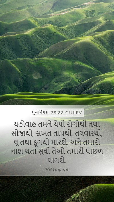 પુનર્નિયમ 28:22 GUJIRV Bible Verse Image