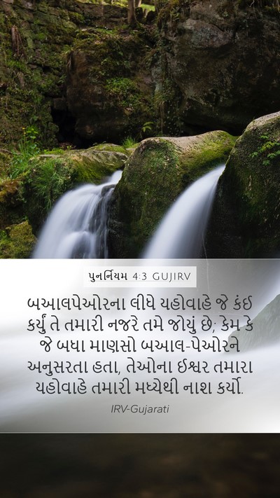 પુનર્નિયમ 4:3 GUJIRV Bible Verse Image
