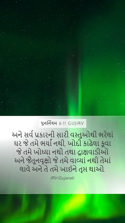 પુનર્નિયમ 6:11 GUJIRV Bible Verse Image