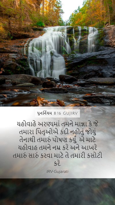 પુનર્નિયમ 8:16 GUJIRV Bible Verse Image
