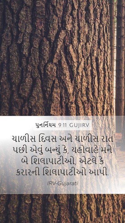 પુનર્નિયમ 9:11 GUJIRV Bible Verse Image