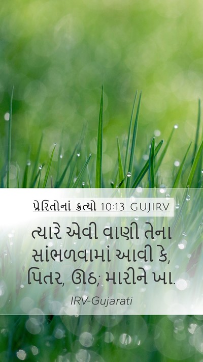 પ્રેરિતોનાં ક્રત્યો 10:13 GUJIRV Bible Verse Image