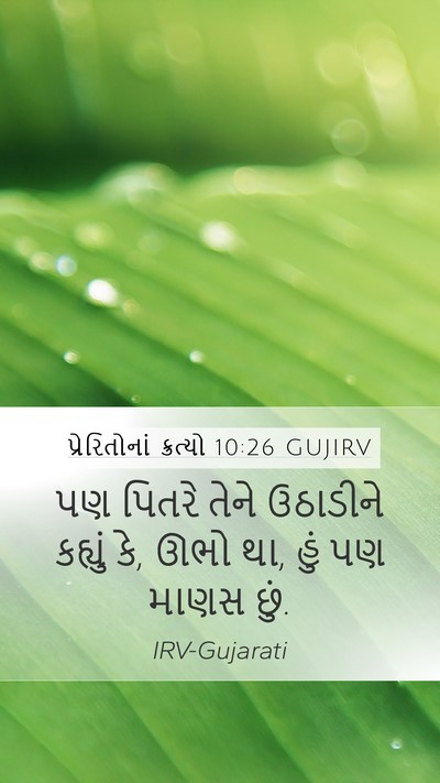 પ્રેરિતોનાં ક્રત્યો 10:26 GUJIRV Mobile Phone Wallpaper - પણ પિતરે તેને - Mobile Bible Verse Wallpaper