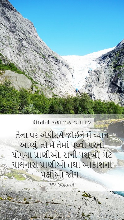 પ્રેરિતોનાં ક્રત્યો 11:6 GUJIRV Bible Verse Image