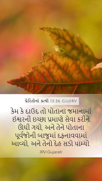 પ્રેરિતોનાં ક્રત્યો 13:36 GUJIRV Bible Verse Image