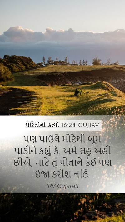 પ્રેરિતોનાં ક્રત્યો 16:28 GUJIRV Mobile Phone Wallpaper - પણ પાઉલે મોટેથી - Mobile Bible Verse Wallpaper
