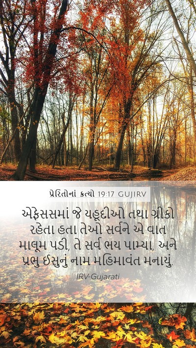 પ્રેરિતોનાં ક્રત્યો 19:17 GUJIRV Bible Verse Image
