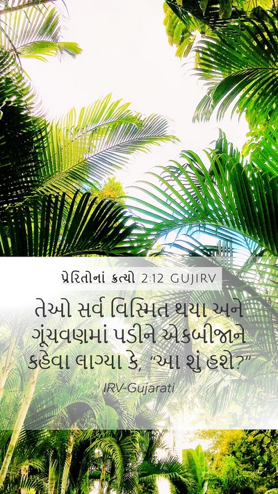 પ્રેરિતોનાં ક્રત્યો 2:12 GUJIRV Bible Verse Image